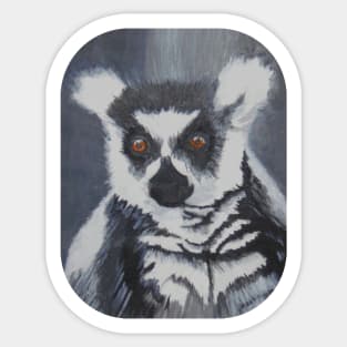 The Lemur Stare! Sticker